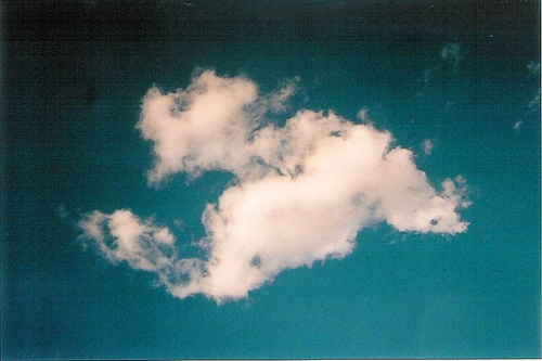 Sky's the limit