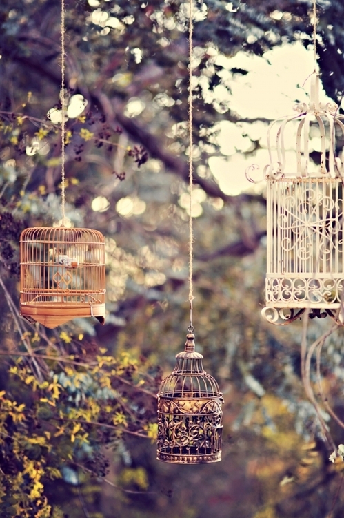 Imprisoned