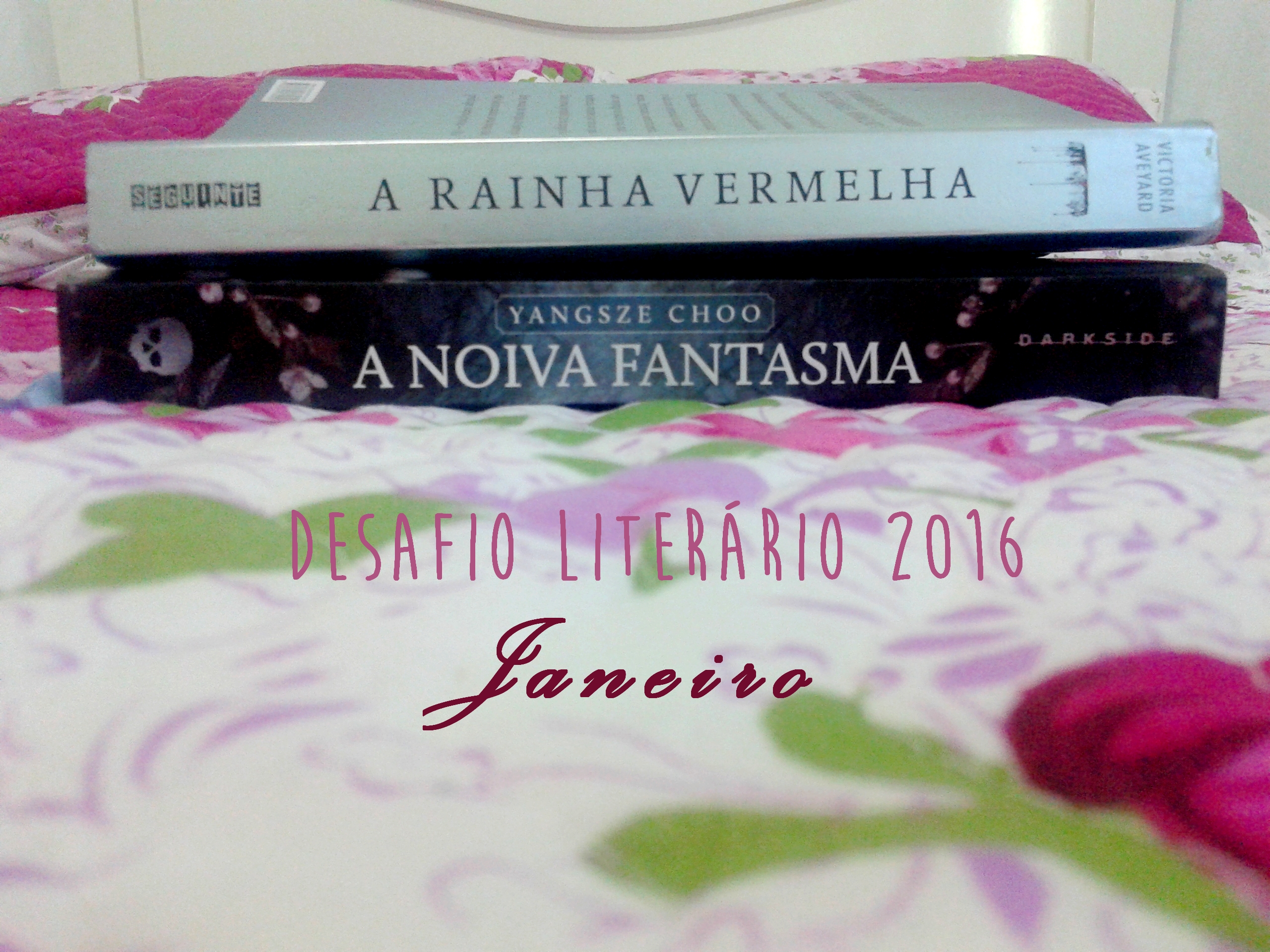 desafio literario